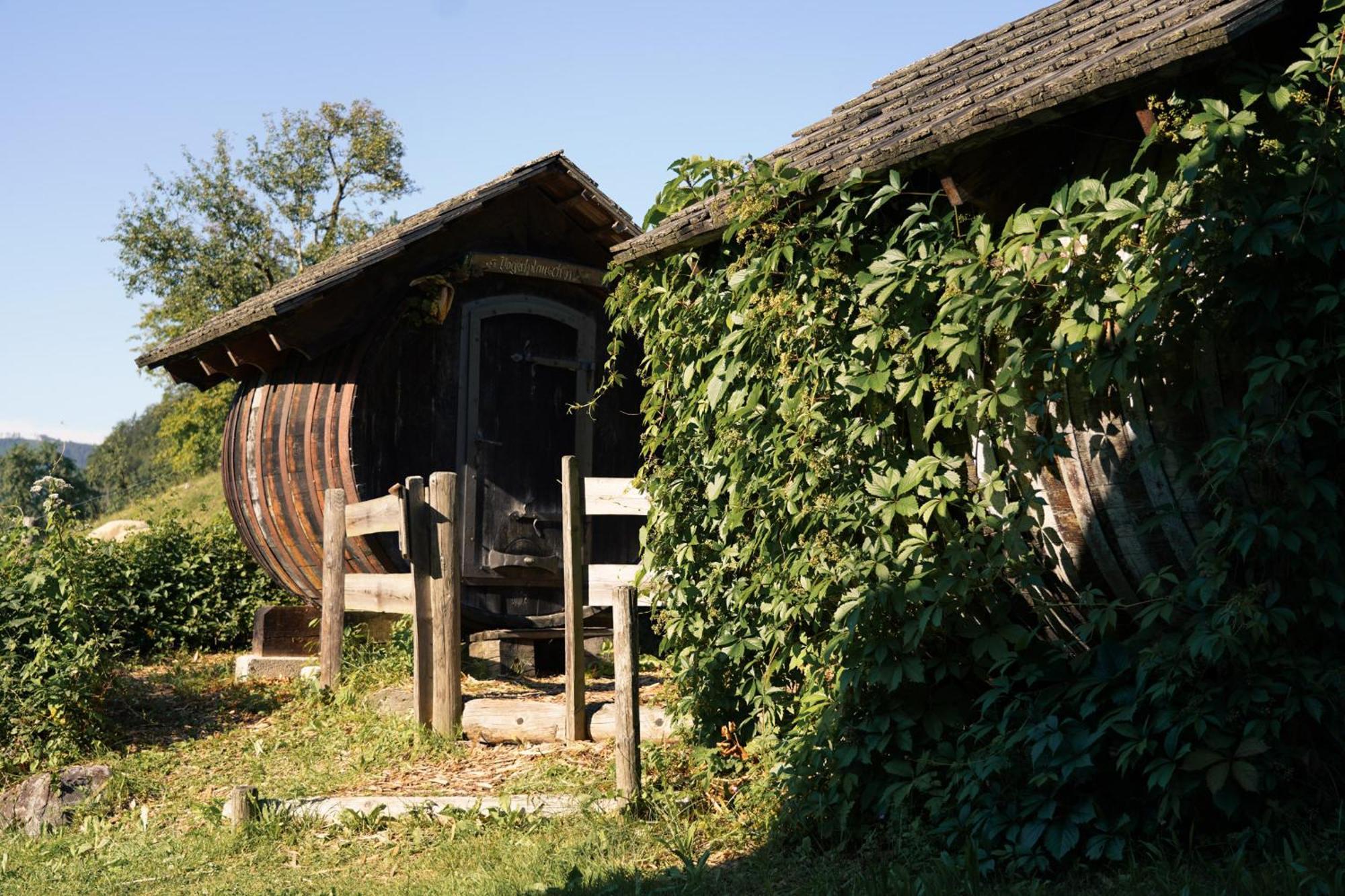 Singerskogel - Ferienhof Und Jausnstub'N Spital Am Pyhrn Exterior photo