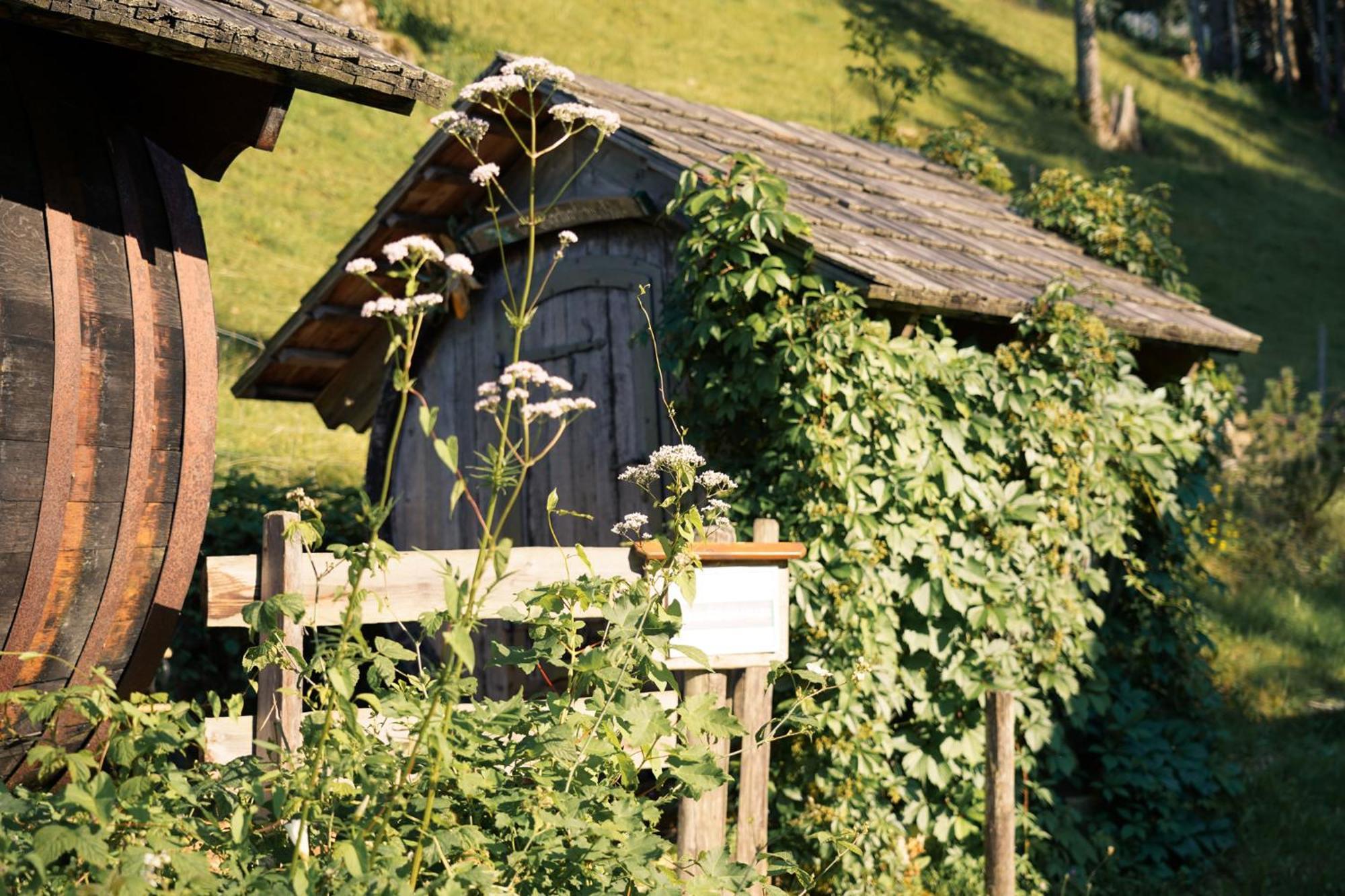 Singerskogel - Ferienhof Und Jausnstub'N Spital Am Pyhrn Exterior photo